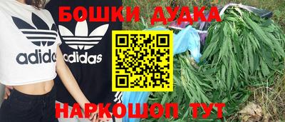 2c-b Канаш