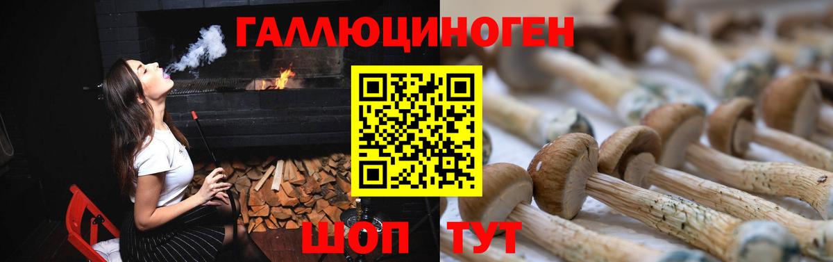 Галлюциногенные грибы MAGIC MUSHROOMS Павловский Посад